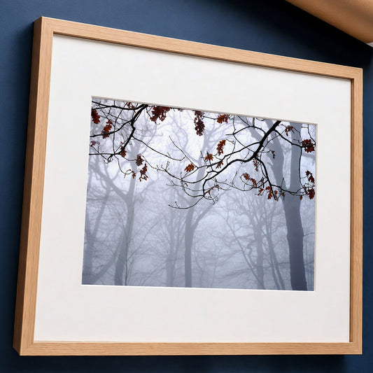 Highgate Wood Fog Original Photo Print