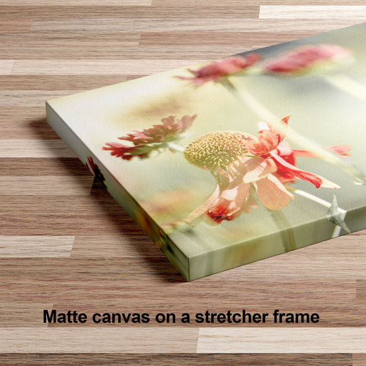 Sneezeweed Macro Flower | Bold Abstract Floral Wall Art for Home or Office