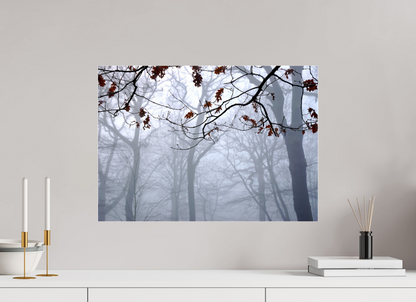 ISO A2 (59,4 x 42 cm), Photo Print Under Acrylic Glass Highgate Woods on Acrylic Glass