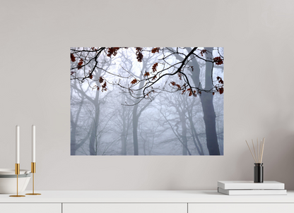 ISO A2 (59,4 x 42 cm), Photo Print On Fuji Crystal DP II Highgate Woods on Acrylic Glass