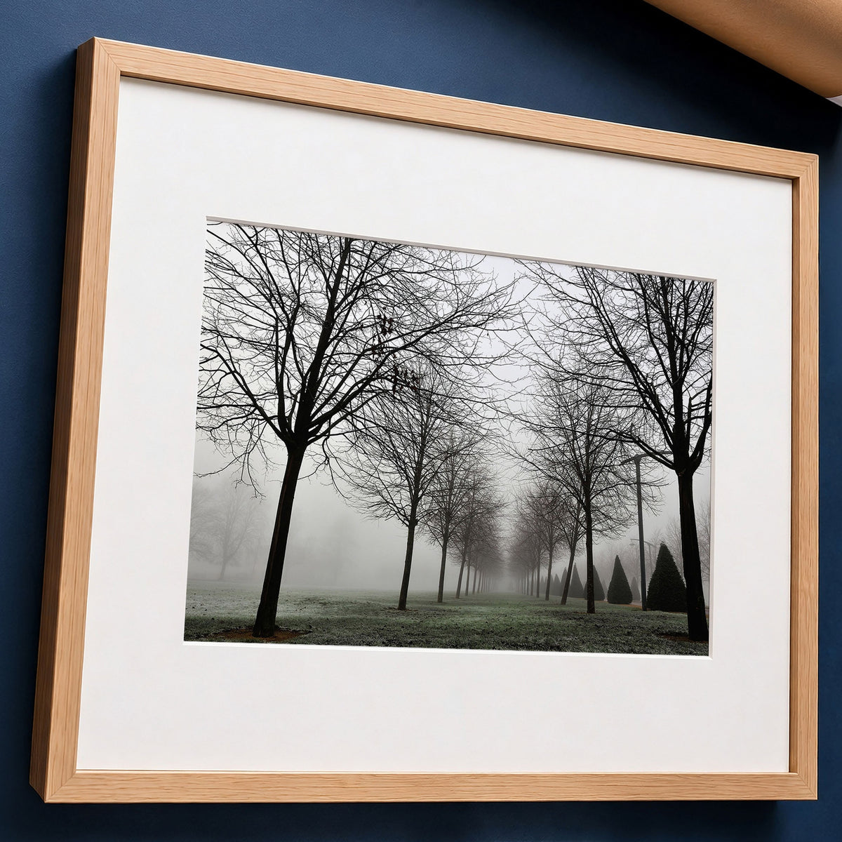 Foggy Landscape Print | Misty Rows of Trees Nature Photography
