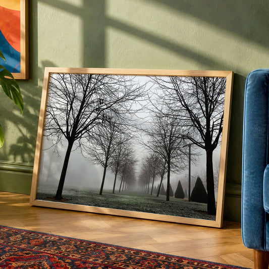 Foggy Landscape Print | Misty Rows of Trees Nature Photography