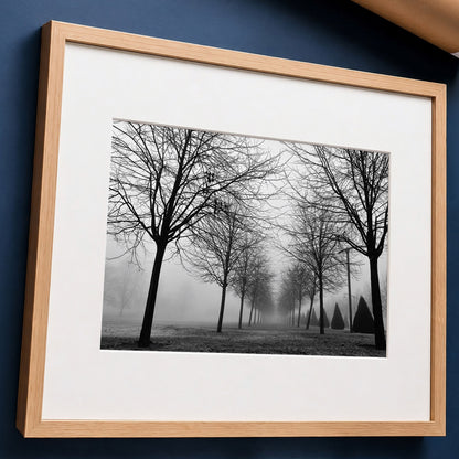 Foggy Trees Monochrome Print | Glasgow Green Landscape
