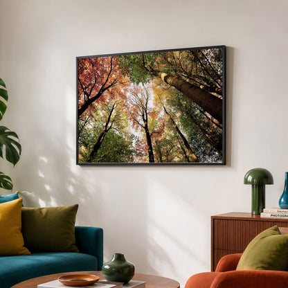 Colourful Autumn Treetops Print | Looking up | Pollok Park Horizontal Photo