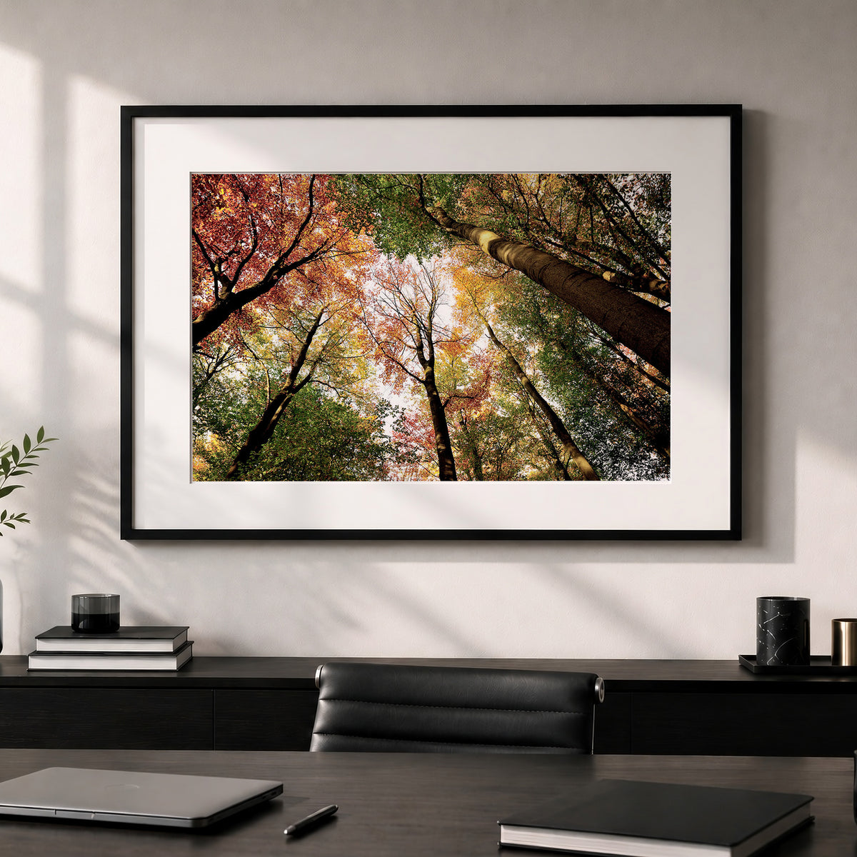 Colourful Autumn Treetops Print | Looking up | Pollok Park Horizontal Photo