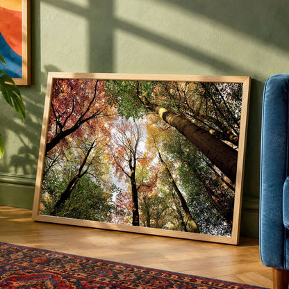 Colourful Autumn Treetops Print | Looking up | Pollok Park Horizontal Photo