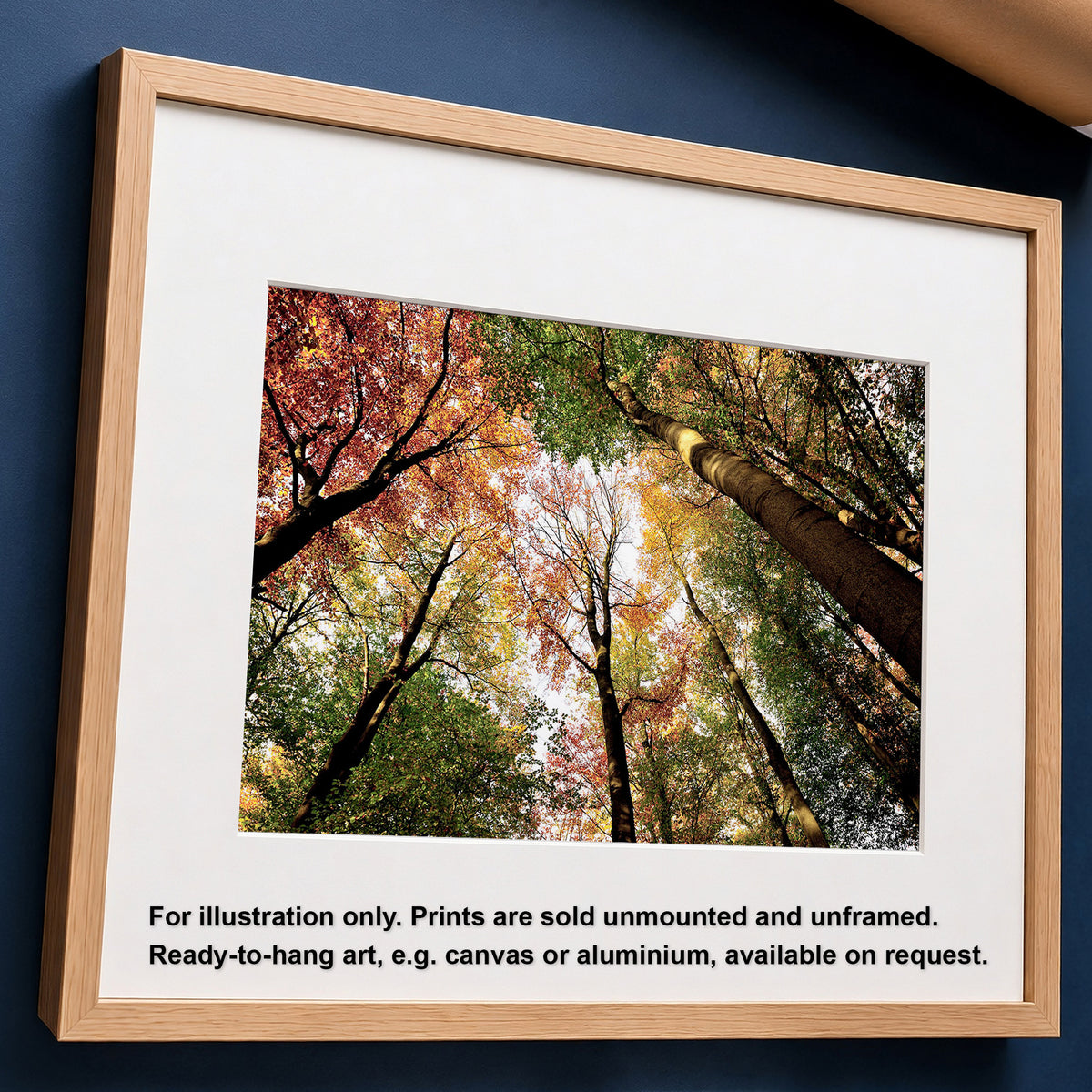 Colourful Autumn Treetops Print | Looking up | Pollok Park Horizontal Photo