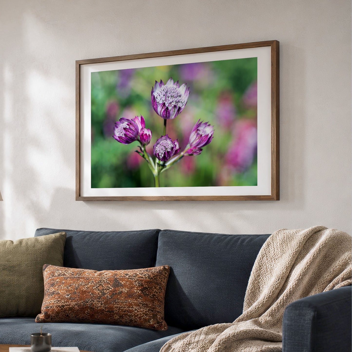 Pink Astrantia Flower Fine Art Photo Print