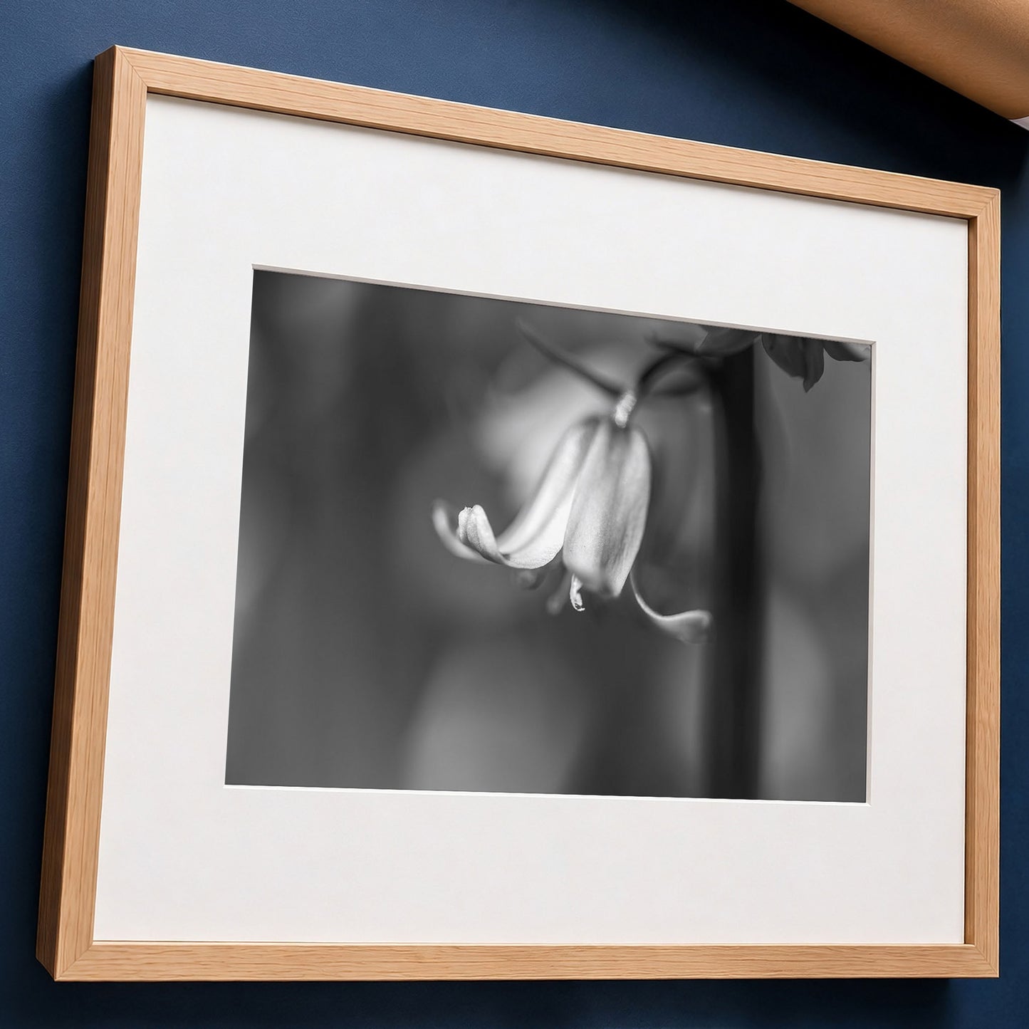A framed black and white macro floral photograph of a bluebell with a white mat and a light natural wood frame, laid flat against dark blue surface.