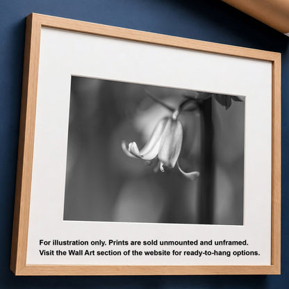 Bluebell BW | Macro Flower | Unframed Photo Print