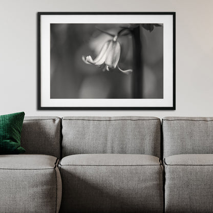 Bluebell BW | Macro Flower | Unframed Photo Print