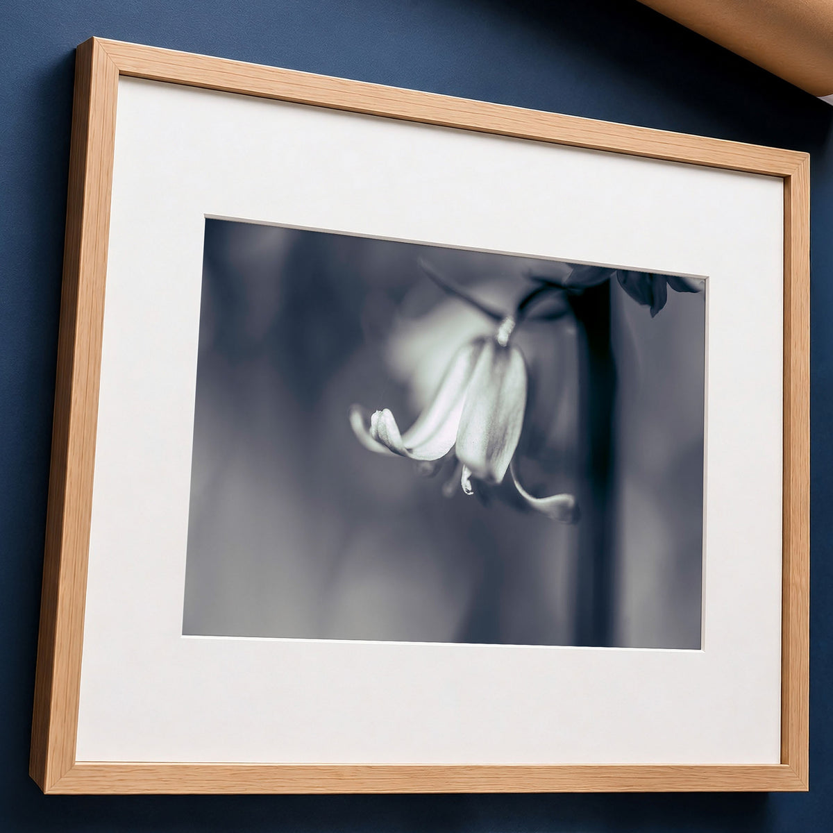 Bluebell BW Blue Tint Macro Flower | Photo Print