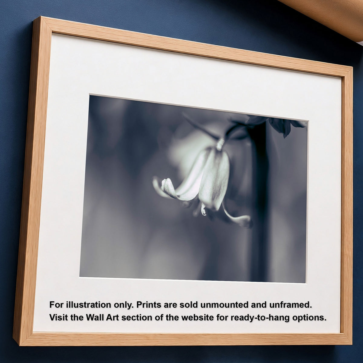 Bluebell BW Blue Tint Macro Flower | Photo Print