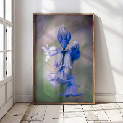 Bluebell Botanical Art Print | Macro Wildflower Forest Photo