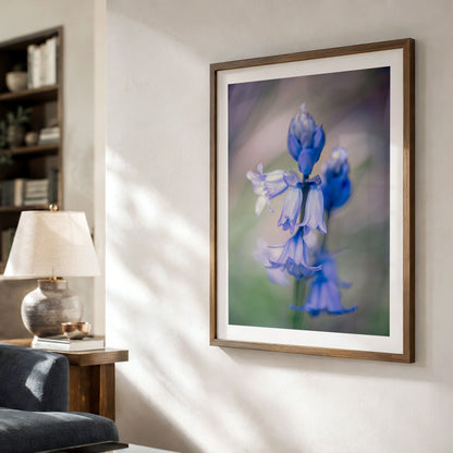Bluebell Botanical Art Print | Macro Wildflower Forest Photo