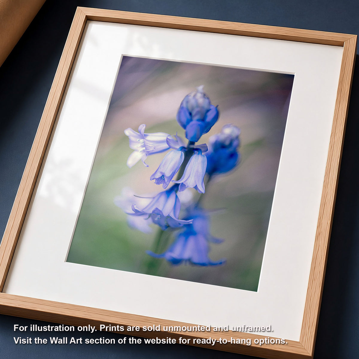Bluebell Botanical Art Print | Macro Wildflower Forest Photo