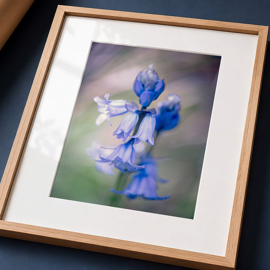 Bluebell Botanical Art Print | Macro Wildflower Forest Photo