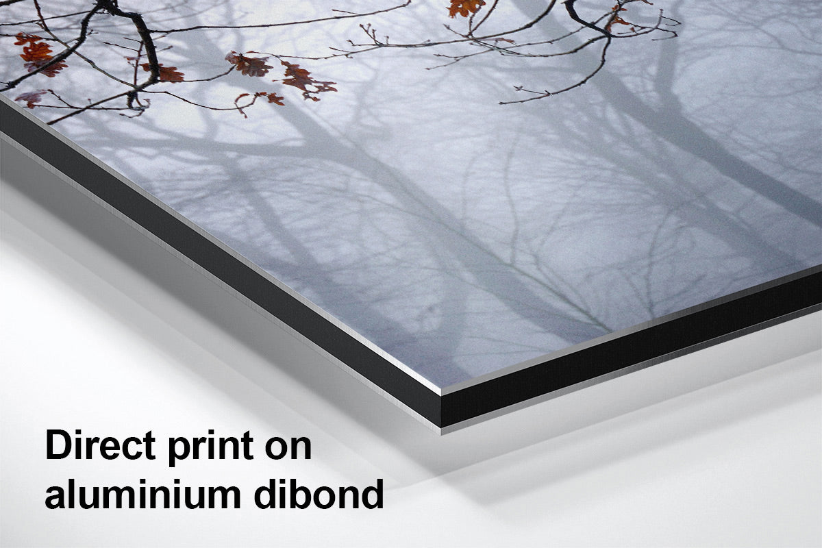 Burst of Colour aluminium detail