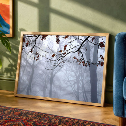 Highgate Wood Fog Original Photo Print