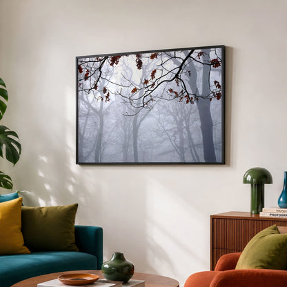 Highgate Wood Fog Original Photo Print