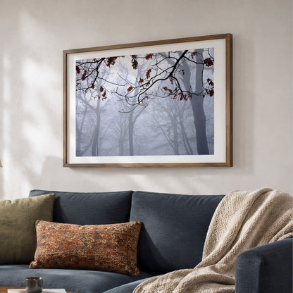Highgate Wood Fog Original Photo Print