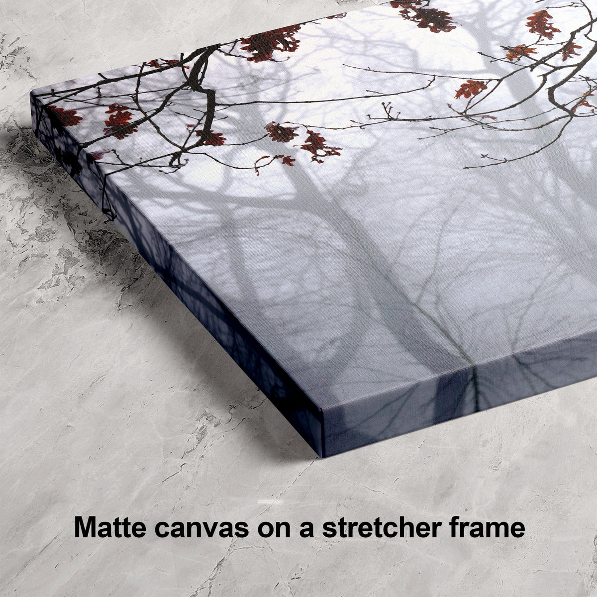 Highgate Wood Foggy Landscape | Atmospheric London Wall Art
