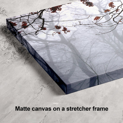 Highgate Wood Foggy Landscape | Atmospheric London Wall Art