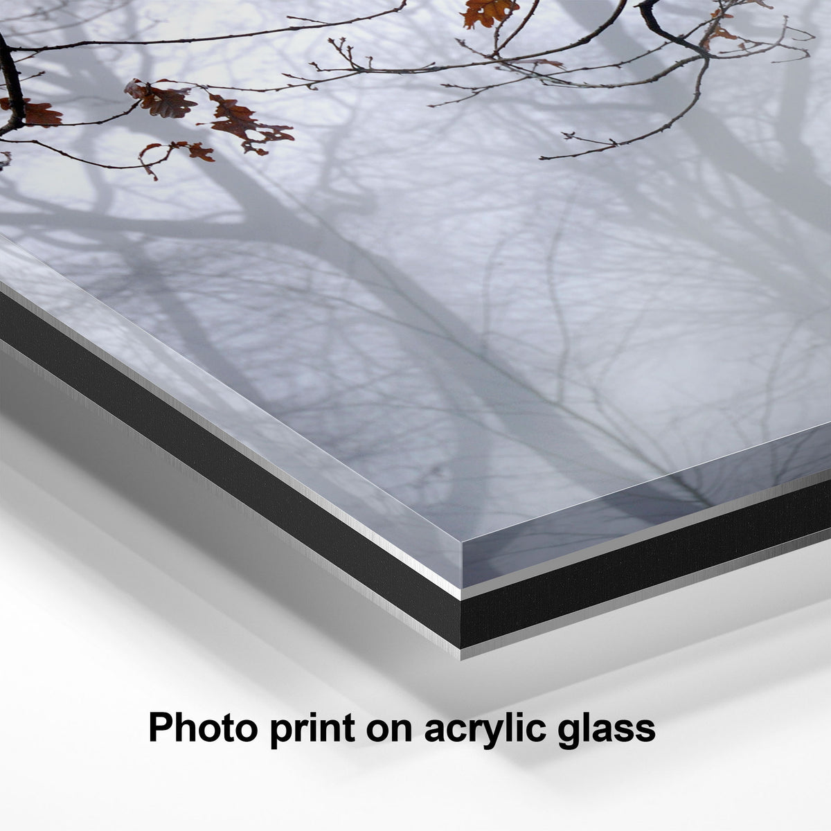 Highgate Wood Foggy Landscape | Atmospheric London Wall Art