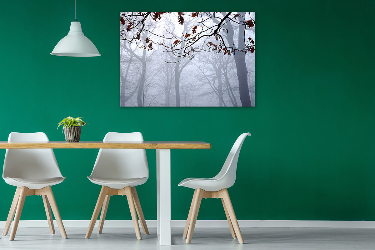 Burst of Colour on green kitchen wall