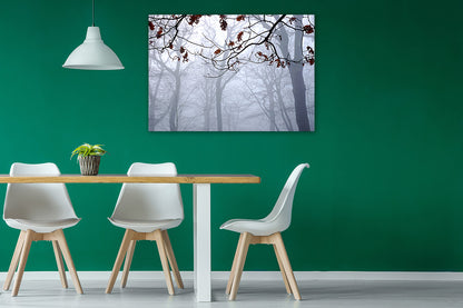 Burst of Colour on green kitchen wall