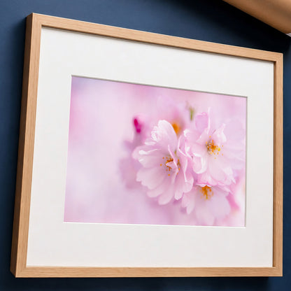 Cherry Blossom Botanical Print | Pink Floral Macro Photo