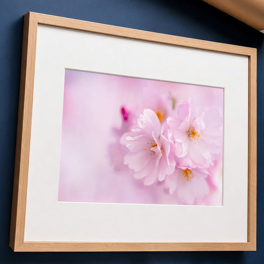 Cherry Blossom Botanical Print | Pink Floral Macro Photo