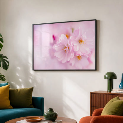 Cherry Blossom Botanical Print | Pink Floral Macro Photo
