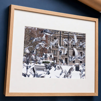 Glasgow Winter Photo Print | Snowy George Square Cityscape with Pigeons in Flight