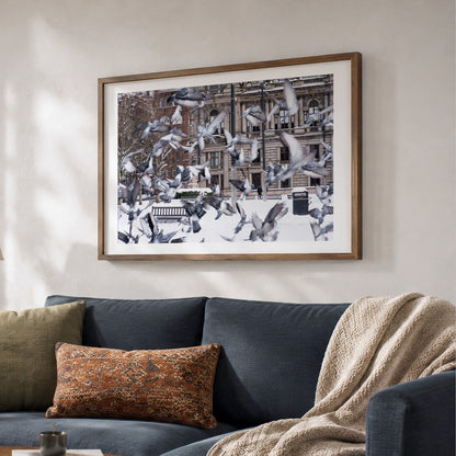 Glasgow Winter Photo Print | Snowy George Square Cityscape with Pigeons in Flight