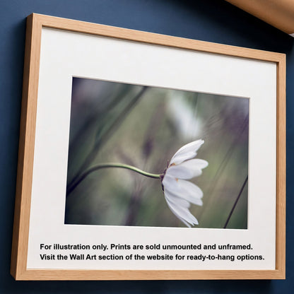 Daisy in Wind Unframed Photo Print | Flower Photography | Nature Home Decor