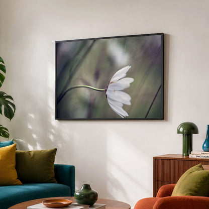 Daisy in Wind Unframed Photo Print | Flower Photography | Nature Home Decor