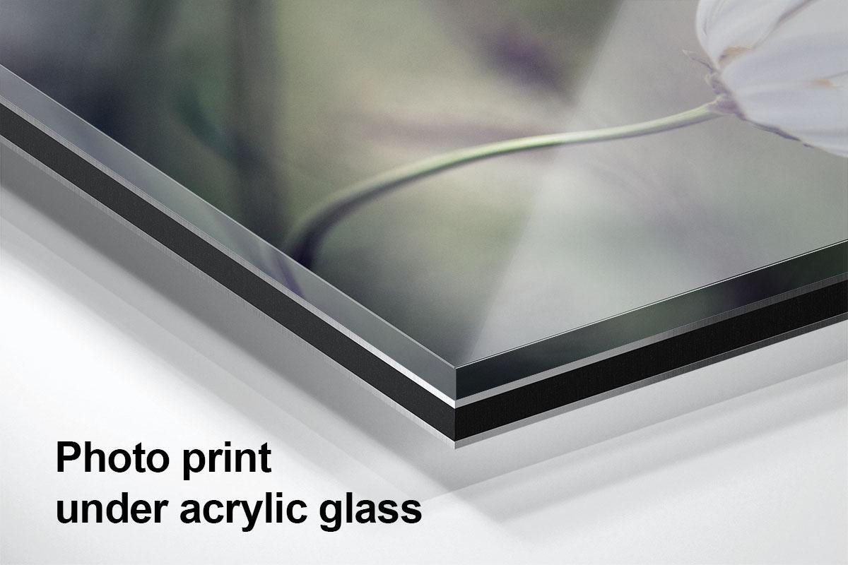 Daisy blowing in wind acrylic with text