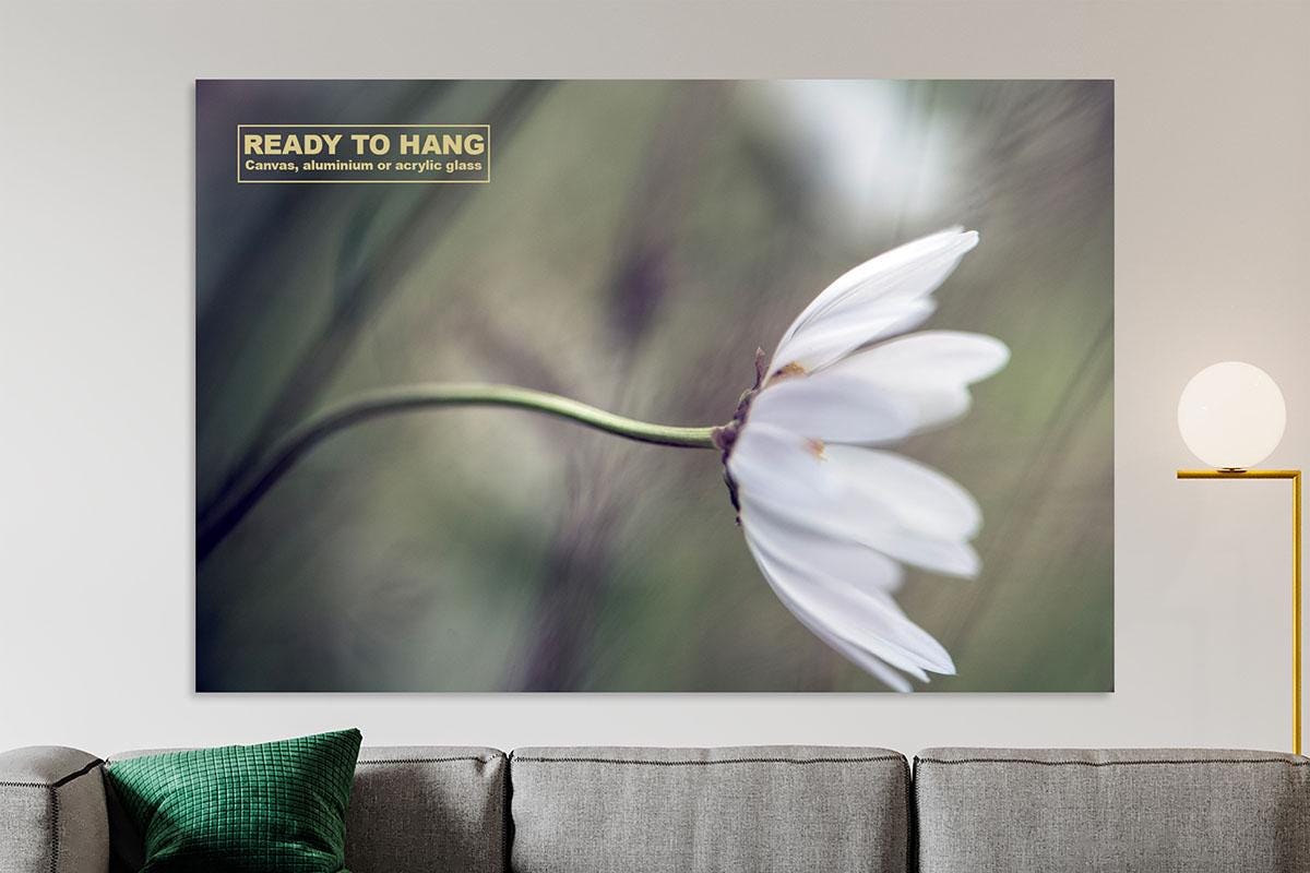 Daisy blowing in wind canvas wall art with text