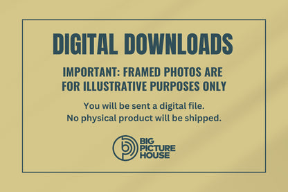 Digital download info gold