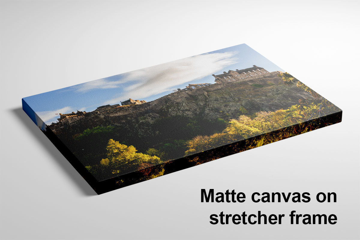 Edinburgh Castle Autumn Cityscape Ready-to-Hang Wall Art