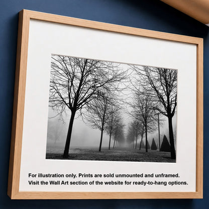 Foggy Trees Monochrome Print | Glasgow Green Landscape