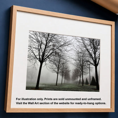 Foggy Landscape Print | Misty Rows of Trees Nature Photography