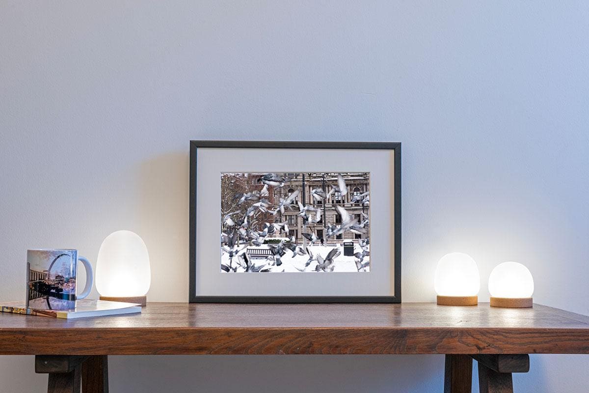 Glasgow George Square pigeons in flight in snow framed in small frame on table