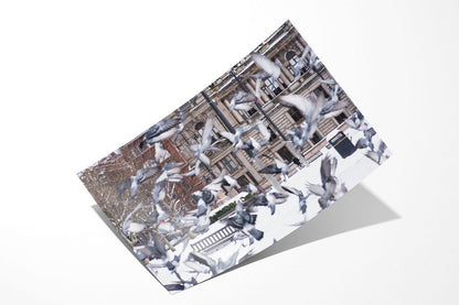 Glasgow George Square pigeons in flight in snow print no border