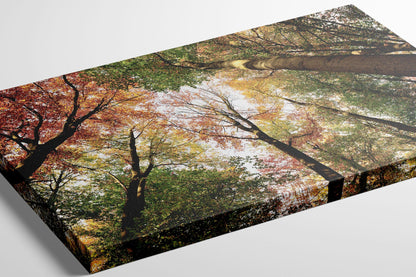 Glasgow Pollok Park Cotton canvas mockup