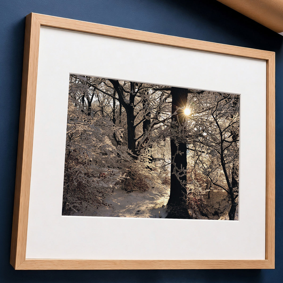 Scottish Winter Sunset Fine Art Photo Print | Hoar Frost on Trees Landscape