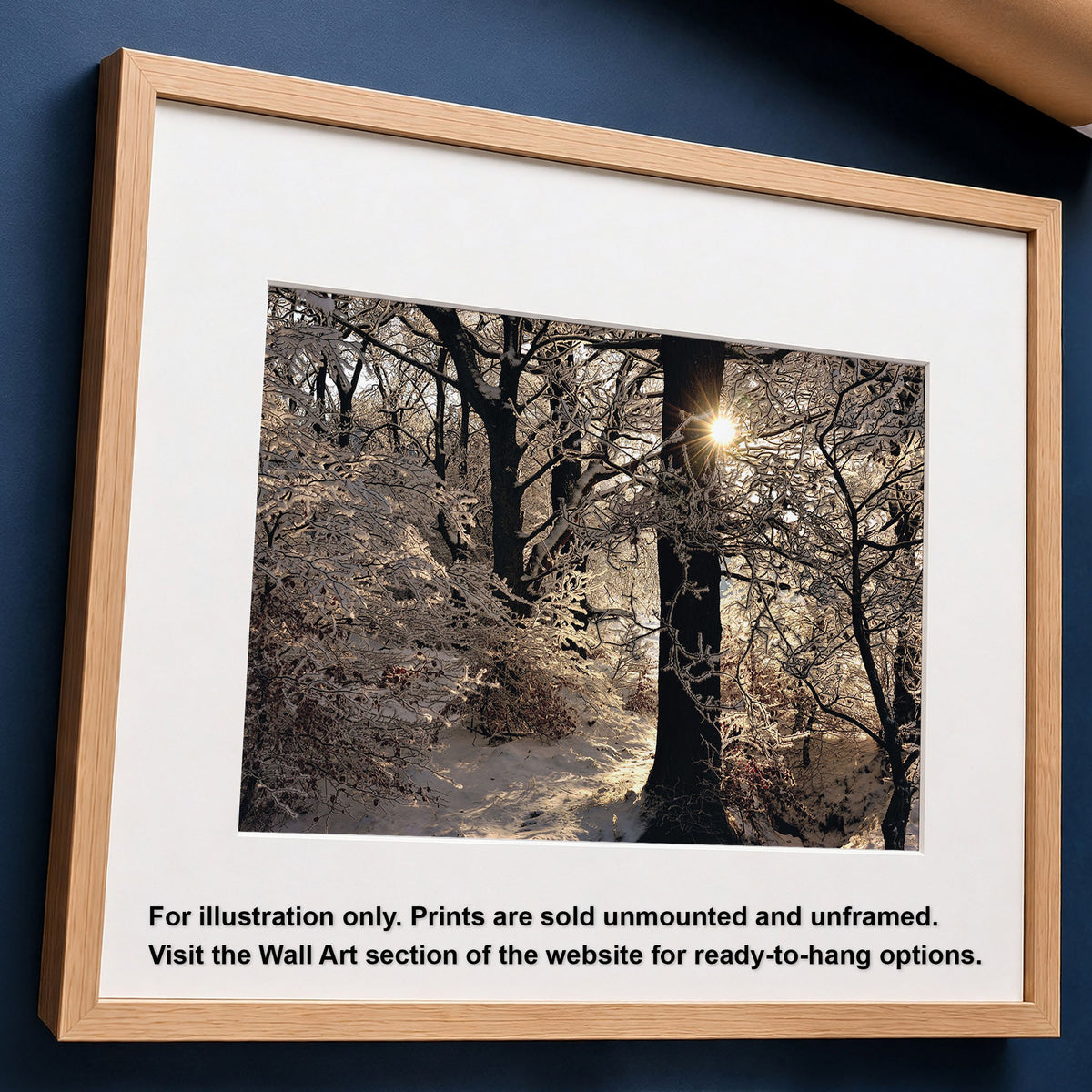Scottish Winter Sunset Fine Art Photo Print | Hoar Frost on Trees Landscape