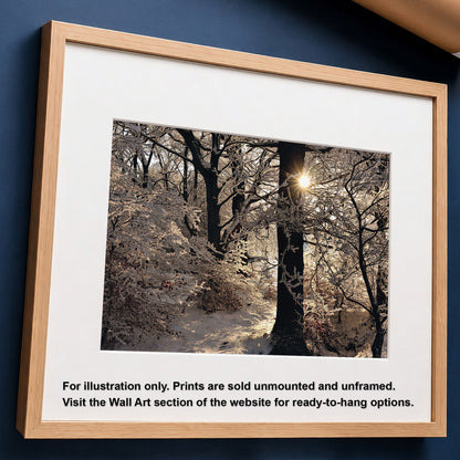 Scottish Winter Sunset Fine Art Photo Print | Hoar Frost on Trees Landscape