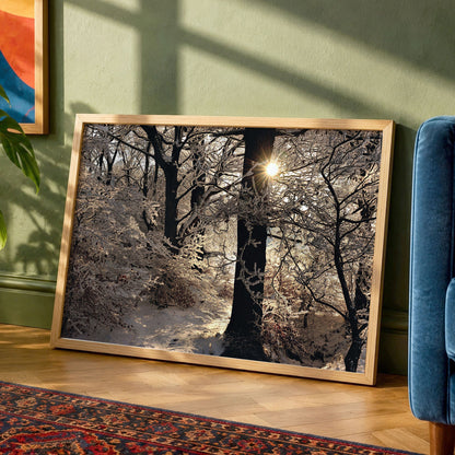 Scottish Winter Sunset Fine Art Photo Print | Hoar Frost on Trees Landscape